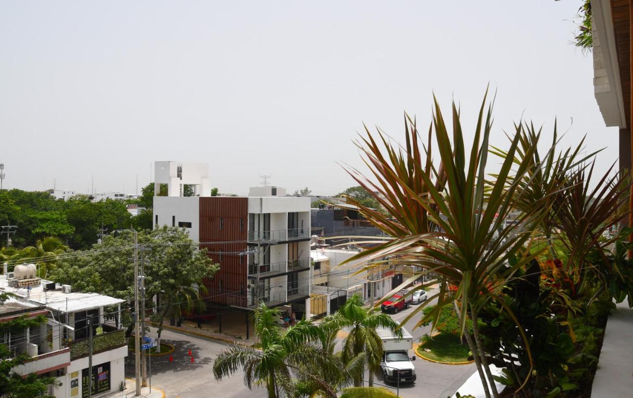 Appartement Calle 38 St Menesse 38 *