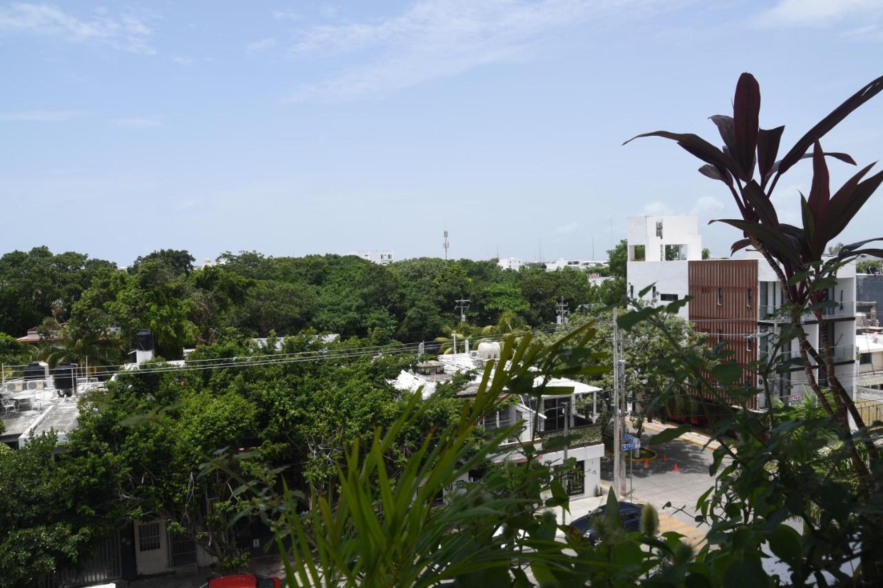 Calle 38 St Menesse 38 *